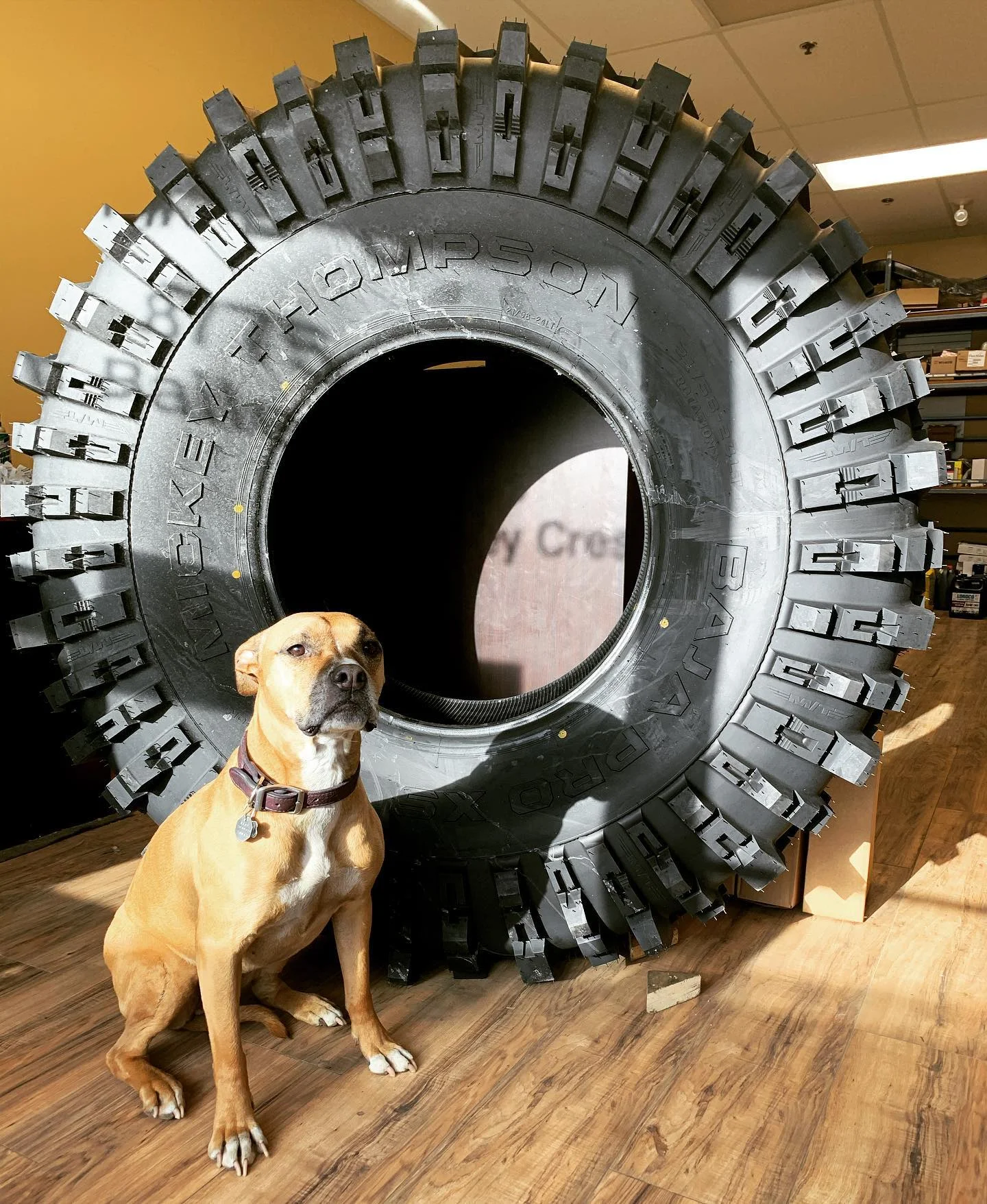 Laela Klettke, Shop Manager and Shop Greeter at JEKLEFAB